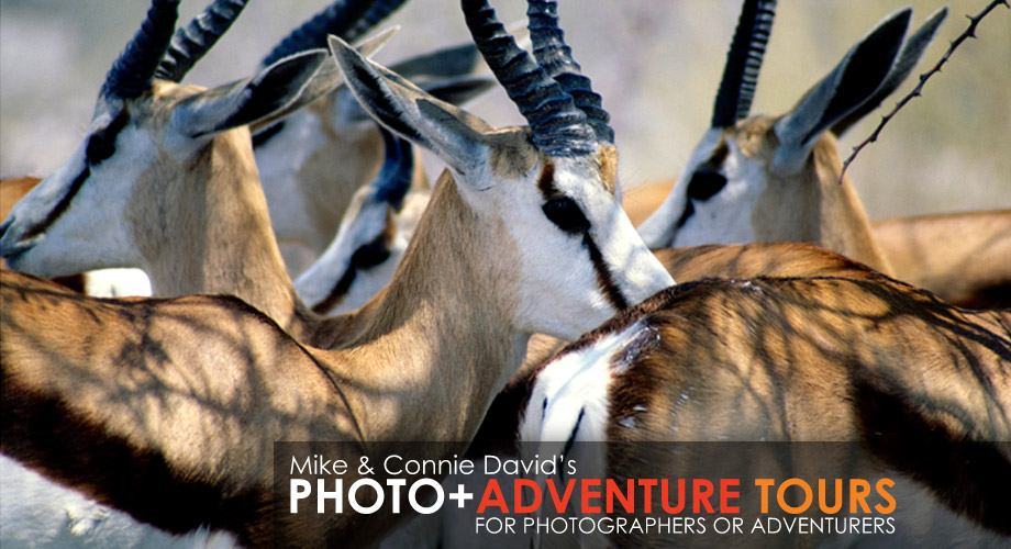 Photo+Adventure Tours