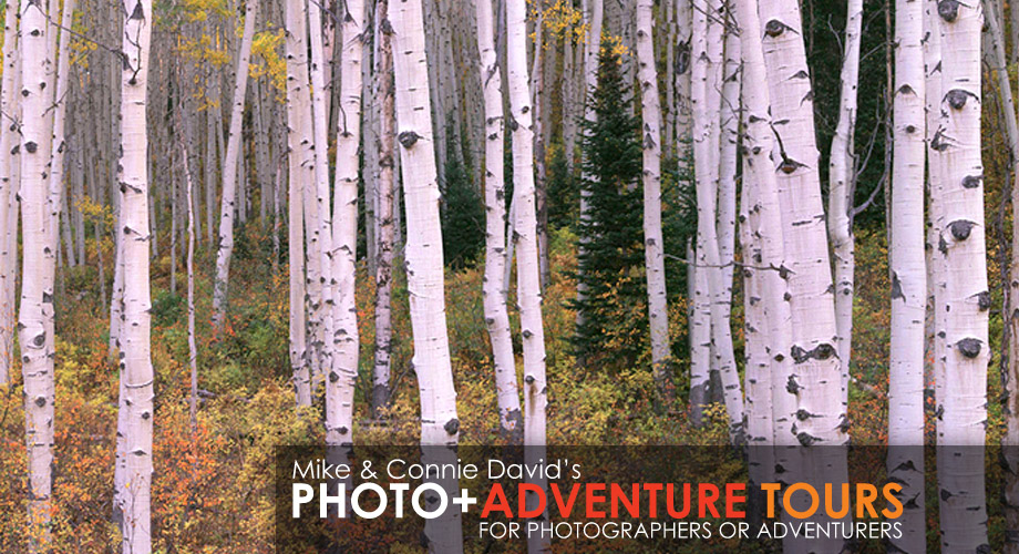 Photo+Adventure Tours
