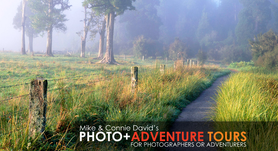 Photo+Adventure Tours