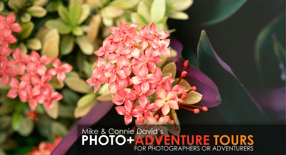 Photo+Adventure Tours