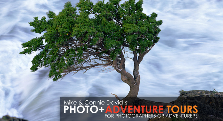 Photo+Adventure Tours